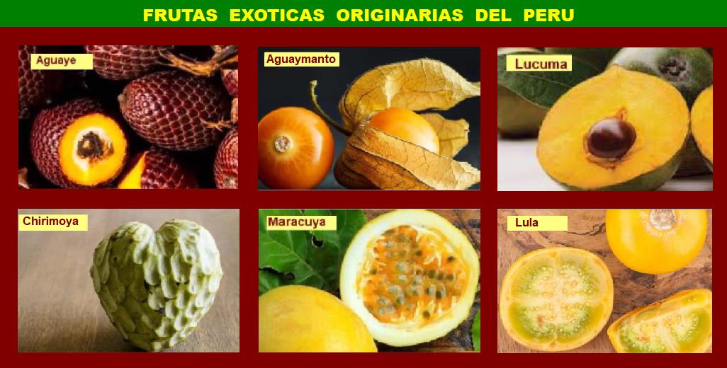 FRUTAS PERUANAS - RECETAS DE BEBIDAS - COCINA PERUANA